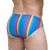 Rainbow Ripple Swim Brief
