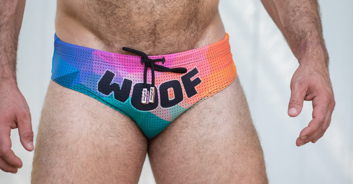 Hunter in the Gruff Pup Woof Prism Swim Brief