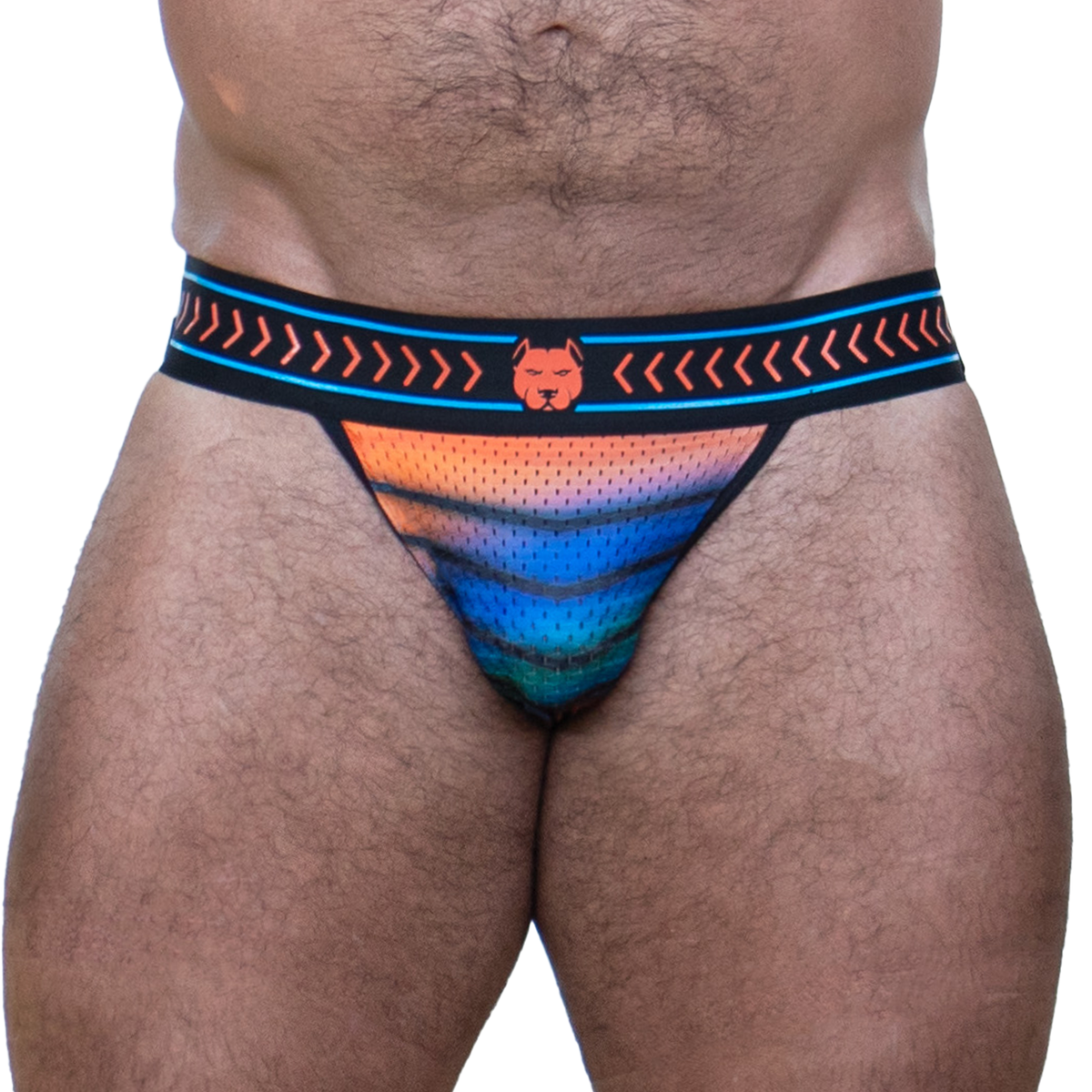 Prism Jockstrap